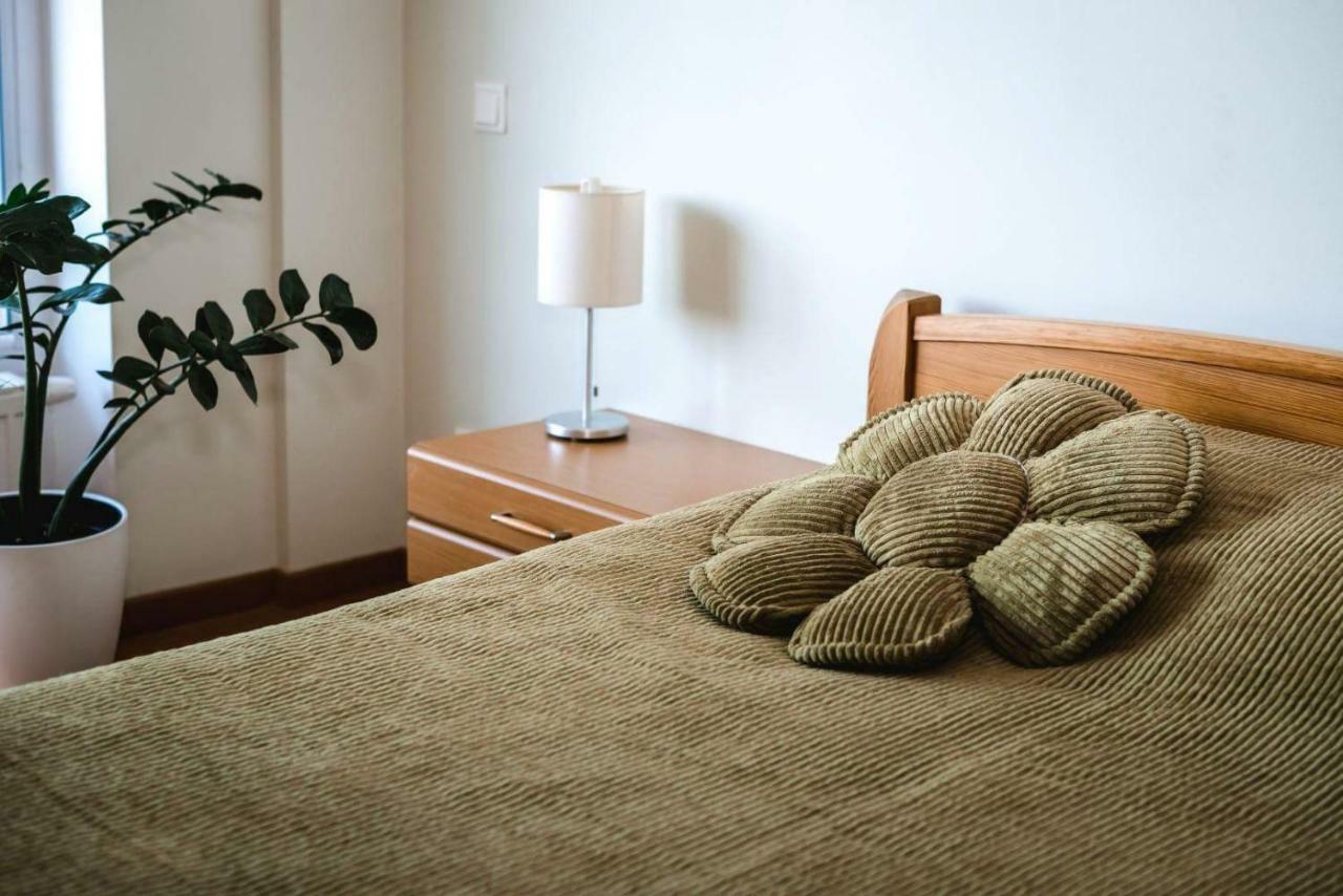 New Apartament Very Close To The City Centre فيلنيوس المظهر الخارجي الصورة