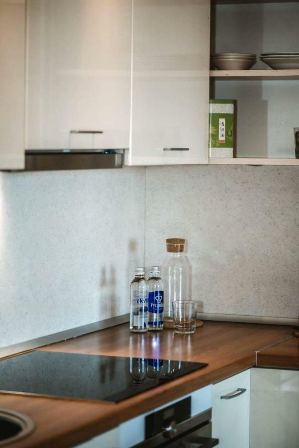 New Apartament Very Close To The City Centre فيلنيوس المظهر الخارجي الصورة